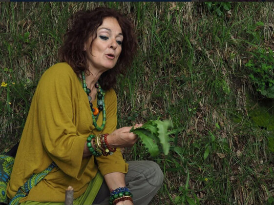 031f8a44-663c-4ba9-a632-022450a71c11 031f8a44-663c-4ba9-a632-022450a71c11