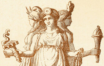 799c52e8-8668-422c-9ea8-4d27dafeef05 799c52e8-8668-422c-9ea8-4d27dafeef05