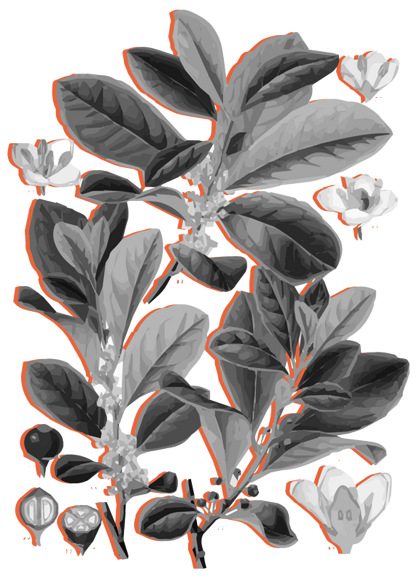 87948b1d-0d0f-4c01-917c-8732b240471a