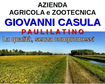 a7e9f647-4c91-4c07-acf4-0e50170b299b a7e9f647-4c91-4c07-acf4-0e50170b299b