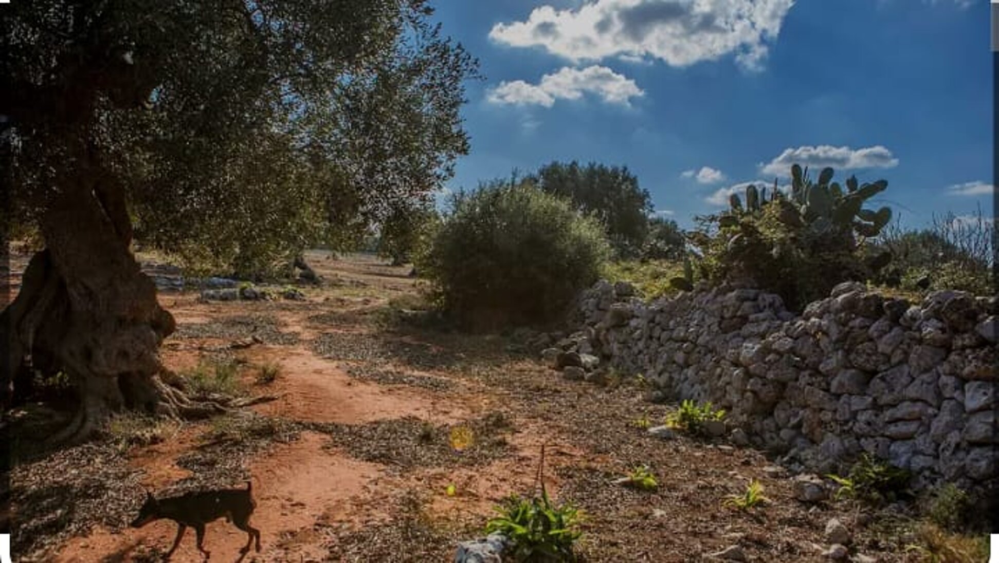 29992360-dbd9-4e6c-8d09-ef15c29e71dd 29992360-dbd9-4e6c-8d09-ef15c29e71dd