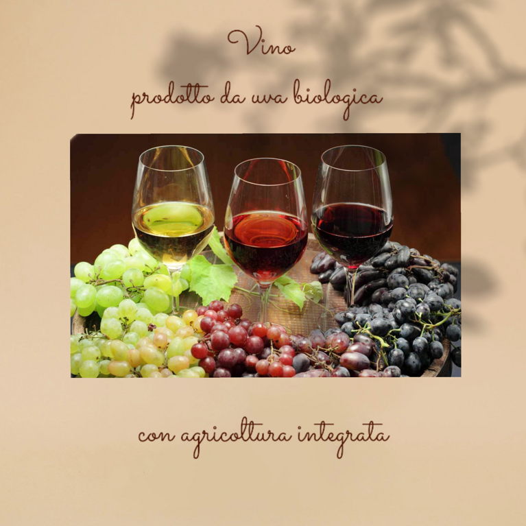 4b9d3125-537c-400a-b4ac-12444ceb8194