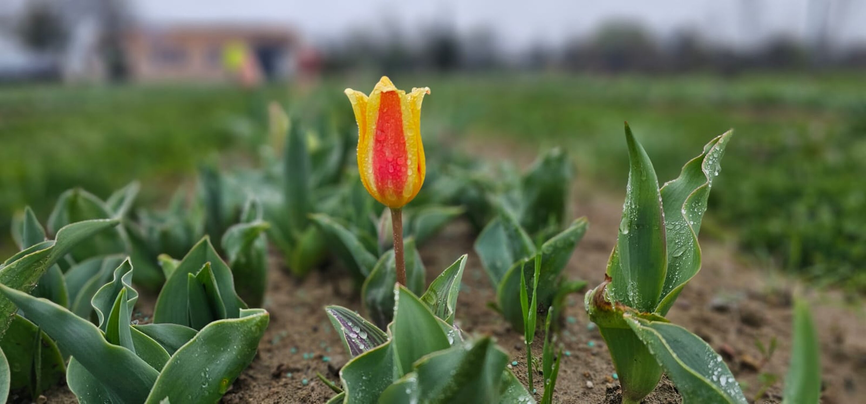 bfd27bc0-a333-4b28-82c8-dbf2f313258c bfd27bc0-a333-4b28-82c8-dbf2f313258c