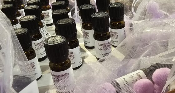 25fc1277-54bf-4eba-8988-c506a3a9e5b0 25fc1277-54bf-4eba-8988-c506a3a9e5b0