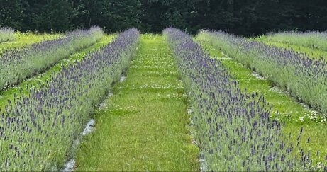 8e6e283c-7ee2-45ae-9af2-e83eda329870 8e6e283c-7ee2-45ae-9af2-e83eda329870