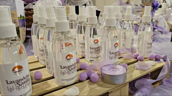 ae2fc1cd-7bcf-4939-90bb-e6d83edf8157 ae2fc1cd-7bcf-4939-90bb-e6d83edf8157