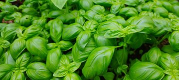 8414da9a-dd36-468d-99da-e01a9696aed1 8414da9a-dd36-468d-99da-e01a9696aed1