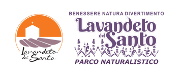 0b4a36aa-6c35-4520-8305-1d2916afa575