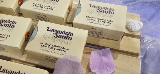 384da715-6221-4af4-b828-6a7f31a5e342 384da715-6221-4af4-b828-6a7f31a5e342