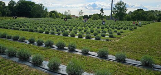 9253b32b-5d0b-4408-8836-7ccd5dcb0369 9253b32b-5d0b-4408-8836-7ccd5dcb0369