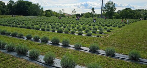 9253b32b-5d0b-4408-8836-7ccd5dcb0369 9253b32b-5d0b-4408-8836-7ccd5dcb0369