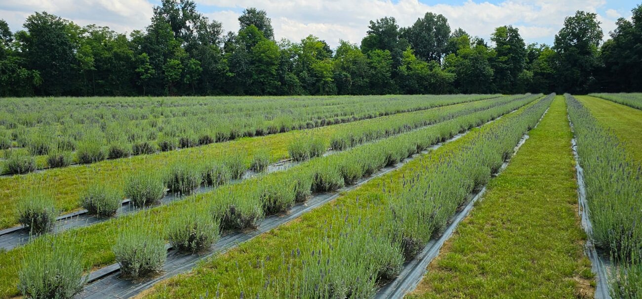 7339f5c8-0fce-4e12-a78e-73a97ce1fe25 7339f5c8-0fce-4e12-a78e-73a97ce1fe25