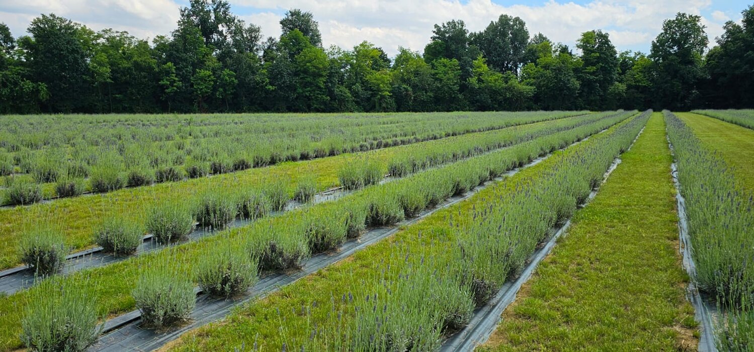 7339f5c8-0fce-4e12-a78e-73a97ce1fe25 7339f5c8-0fce-4e12-a78e-73a97ce1fe25