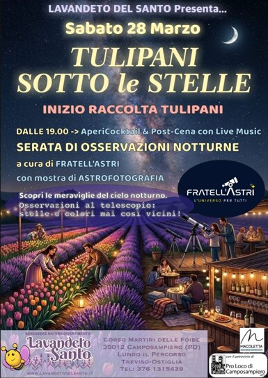 tulipani sotto le stelle.jpeg tulipani sotto le stelle.jpeg