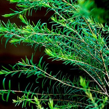 2c247209-2671-4072-9592-eaf065c008a2 2c247209-2671-4072-9592-eaf065c008a2