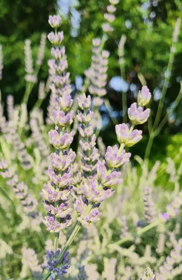 5eed4420-ef5f-4fd8-985d-b9d9c70d42ae 5eed4420-ef5f-4fd8-985d-b9d9c70d42ae