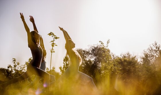 ebd7549d-255b-416c-a675-349efd9f3e22.jpeg ebd7549d-255b-416c-a675-349efd9f3e22.jpeg