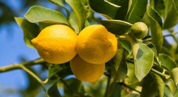 f923fee4-17ca-433e-9650-8656792a2f05 f923fee4-17ca-433e-9650-8656792a2f05