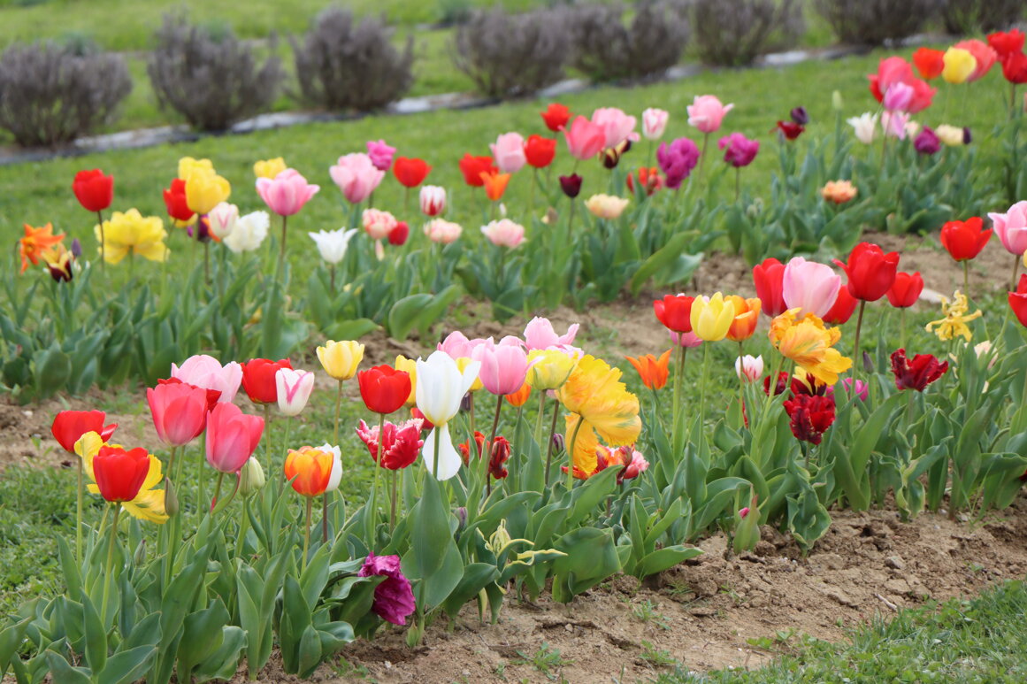 fa52bb75-2436-4457-853c-d54ca369a724 fa52bb75-2436-4457-853c-d54ca369a724