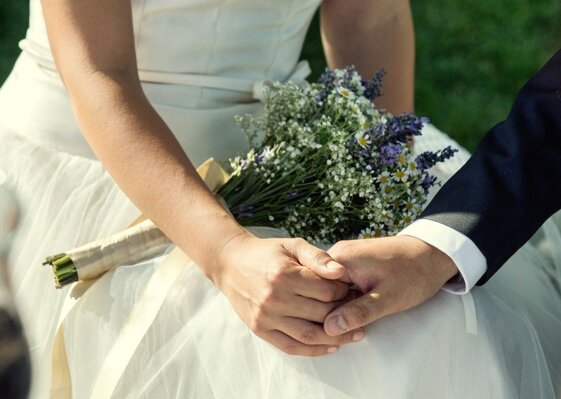 d482f73c-ea0b-4c69-b6e6-66d77d3054f7 d482f73c-ea0b-4c69-b6e6-66d77d3054f7