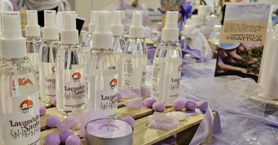 30340cd0-9c09-418b-9471-d58f4fa27b7d 30340cd0-9c09-418b-9471-d58f4fa27b7d