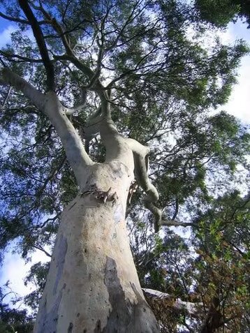 3c1ce214-c04d-460e-817d-c805fcb081eb 3c1ce214-c04d-460e-817d-c805fcb081eb