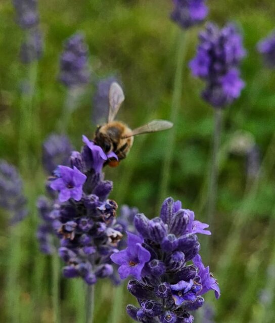 020b0ba7-7af2-43bc-9f2d-112d8bfe358d 020b0ba7-7af2-43bc-9f2d-112d8bfe358d