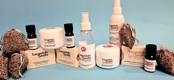 f067addb-ce37-45f5-86fc-5f9347db48a7 f067addb-ce37-45f5-86fc-5f9347db48a7