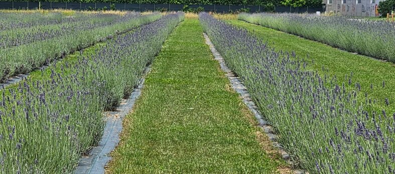 7a53d24b-0b73-454f-8721-380aa2591c68 7a53d24b-0b73-454f-8721-380aa2591c68