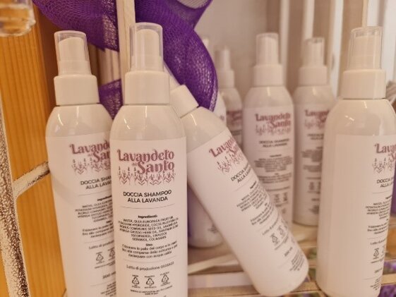 b0aa9fad-d4b9-4dbb-a7e9-acaecd792178 b0aa9fad-d4b9-4dbb-a7e9-acaecd792178