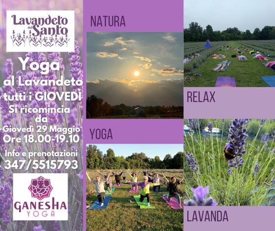 ad08b410-a185-4a56-b2e3-7c0b76324012 ad08b410-a185-4a56-b2e3-7c0b76324012