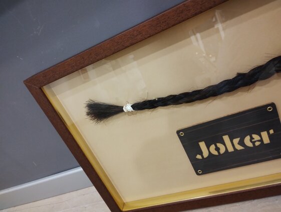 3acca116-ff4c-43d9-bb1e-46092c14f2fe 3acca116-ff4c-43d9-bb1e-46092c14f2fe