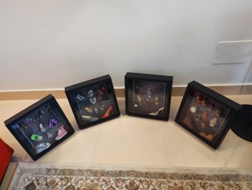 ffb73690-07fc-4baf-8b7f-04fae9206440 ffb73690-07fc-4baf-8b7f-04fae9206440