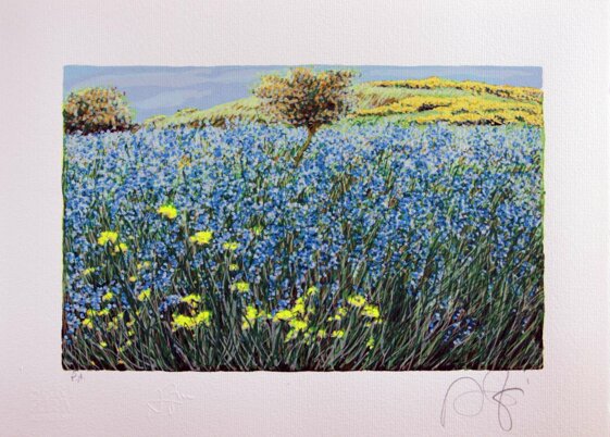 45ad0045-2230-4145-9e79-5366502e6976