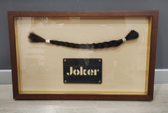 c90c52fe-248c-46f7-a62a-8673a9cdd212 c90c52fe-248c-46f7-a62a-8673a9cdd212