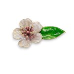 spilla-fiore-di-mandorlo-almond-flower-brooch