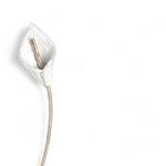 orecchini-calla-con-gambo-calla-earrings-with-stem