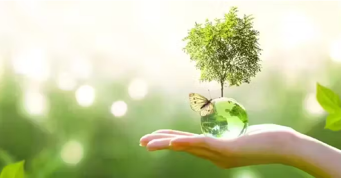 82f90793-5ea7-4b55-a187-d7f0c9858726