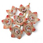 orecchini-hoya-macrophylla-hoya-macrophylla-earrings
