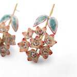 orecchini-hoya-macrophylla-hoya-macrophylla-earrings