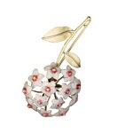 spilla-hoya-carnosa-hoya-carnosa-broock