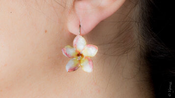 a57baa03-0118-4d03-889a-dd74059d384a a57baa03-0118-4d03-889a-dd74059d384a