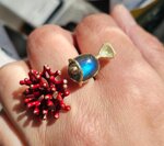 anello-pesciolino-e-corallo-little-fish-and-coral-ring