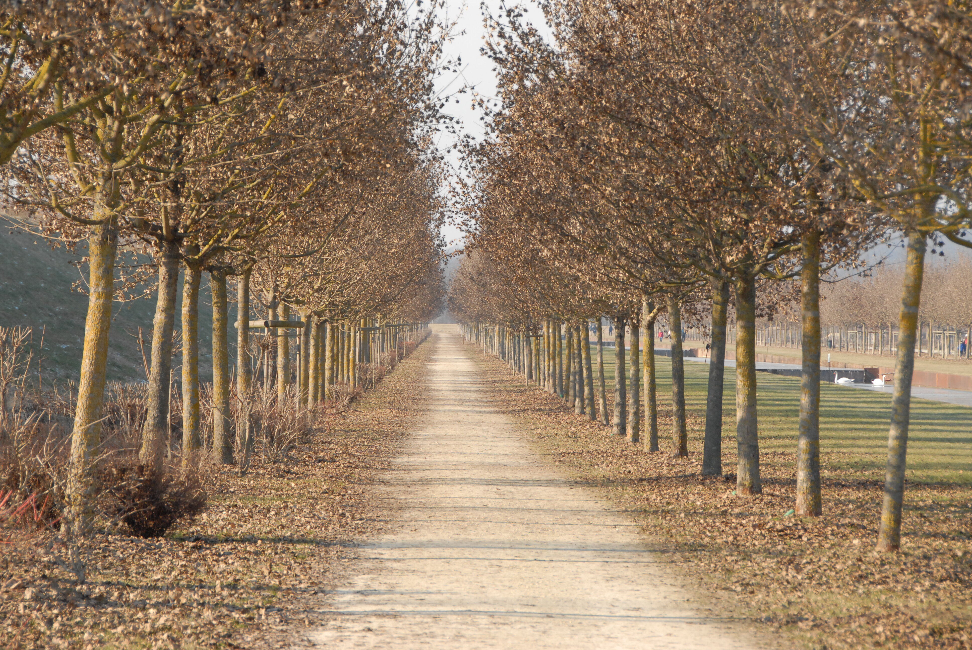 Torino in 3 giorni: cosa vedere, musei imperdibili e aree camper Torino in 3 giorni: cosa vedere, musei imperdibili e aree camper