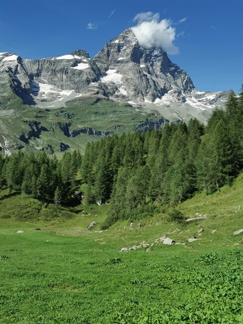 img_20210817_165621.jpeg img_20210817_165621.jpeg