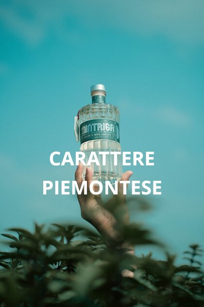 32f5090b-9bc4-4dc4-b4a4-92bb1abfc5ef