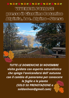 Eventi in programma Novembre 2025 Eventi in programma Novembre 2025