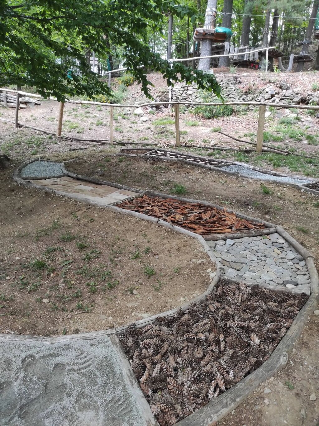 Foto di propriet� dell'Adventure Park Lago d'Orta LE PIGNE