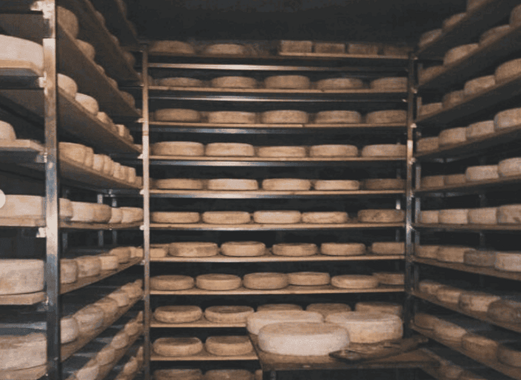 - Foto di propriet� dell'Azienda Agricola #FAICHEESE
