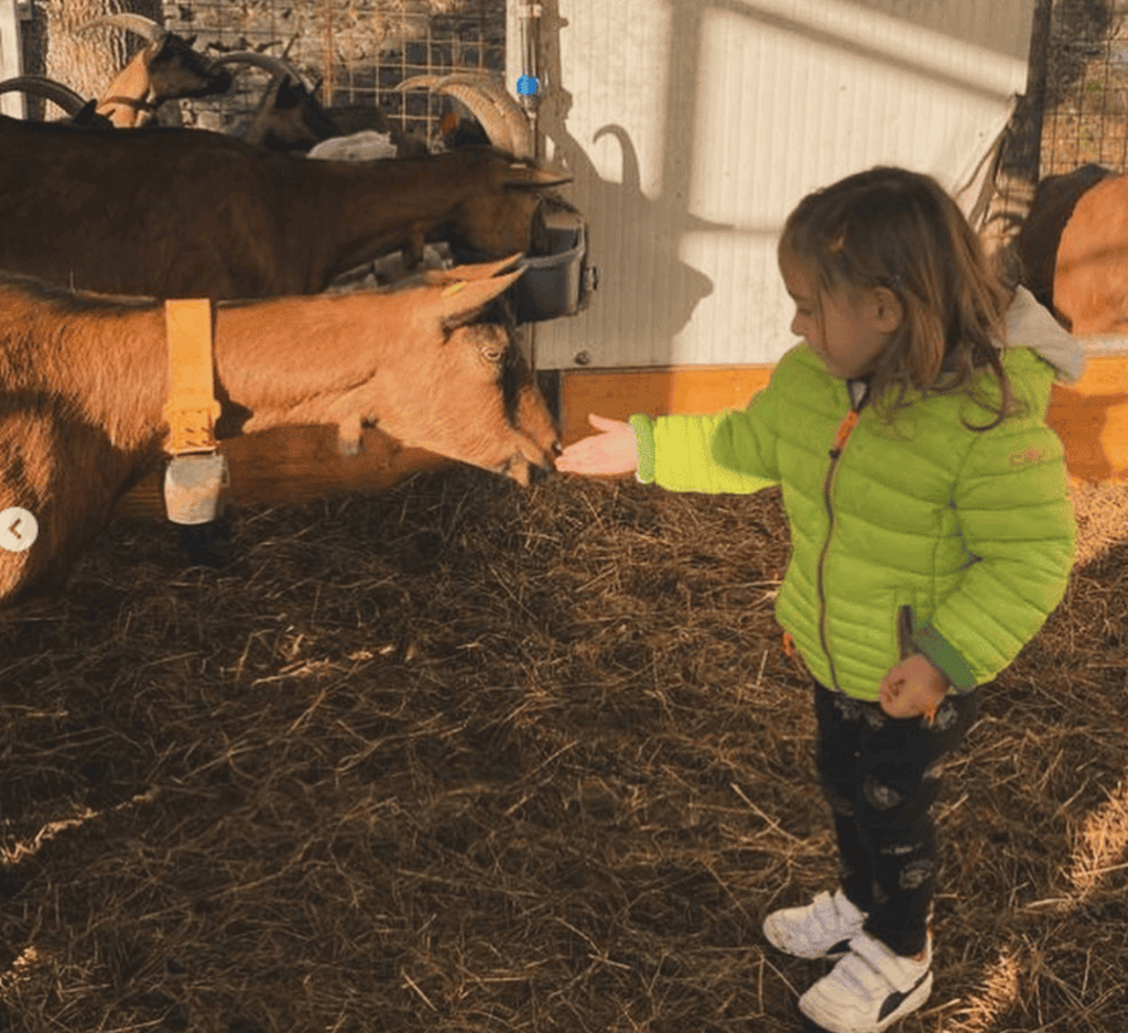 Foto di propriet� dell'Azienda Agricola #FAICHEESE